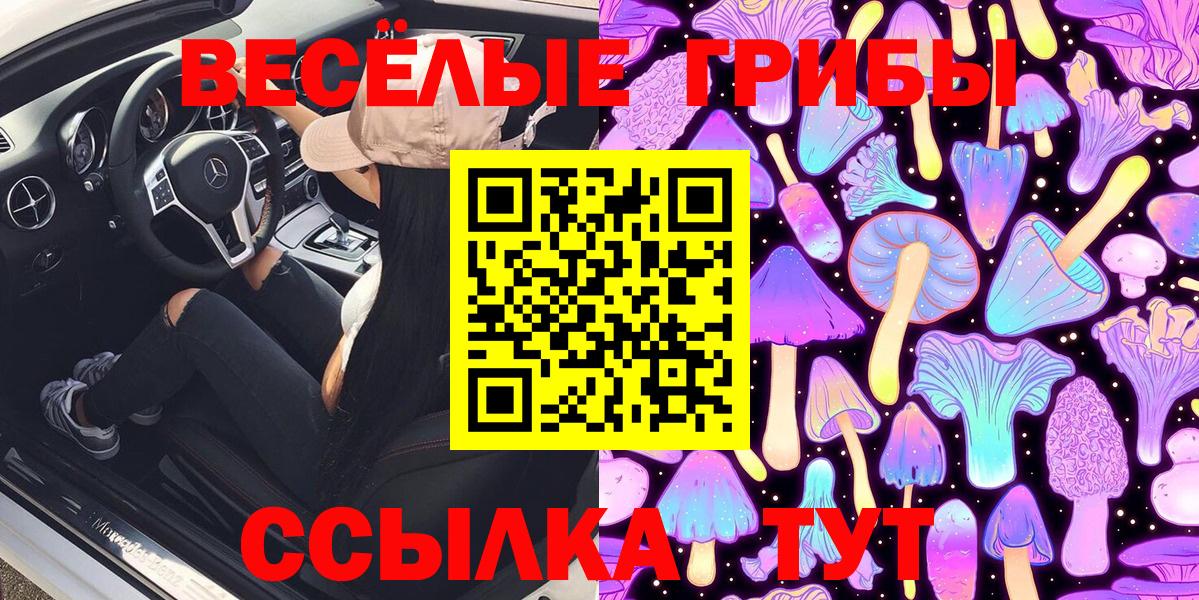 Керчь  Псилоцибиновые грибы GOLDEN TEACHER  Псилоцибиновые грибы мицелий  Вход с VPN 